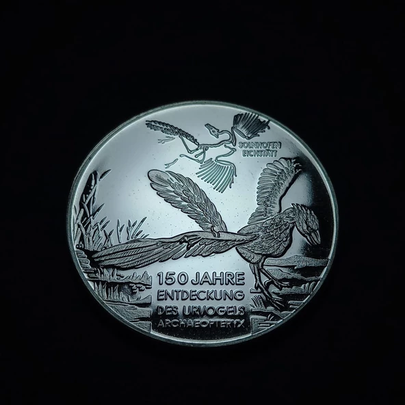 Escoines 93d2412e0 Almanya, Antik kuş Archæopteryx'in keşfinin 150.yılı Hatıra Madalya 16.6Gram 35mm - Resim 5