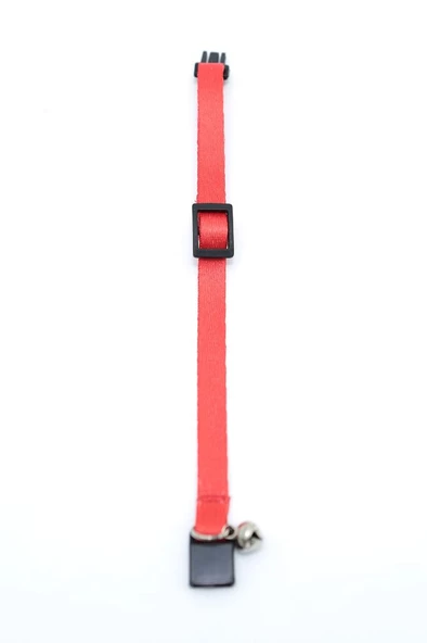 Kedi Düz Boyun Tasması Ps9668