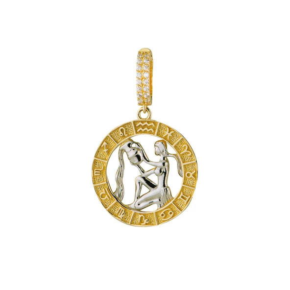 Kova Burç Altın Charm 2,83 gr