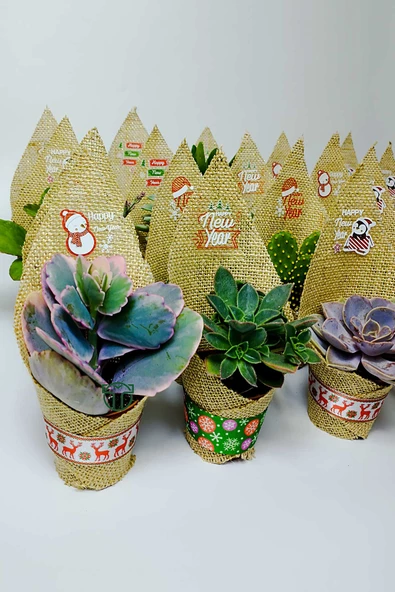 Yılbaşı Hediyesi Sukulent Kaktüs Kurumsal Şirket Yeni Yıl Hediyeleri Jüt Kumaş Süsleme 50 Adet - 2