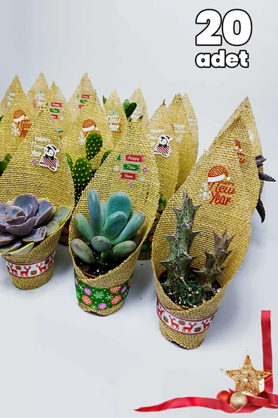 Yılbaşı Hediyesi Sukulent Kaktüs Kurumsal Şirket Yeni Yıl Hediyeleri Jüt Kumaş Süsleme 50 Adet
