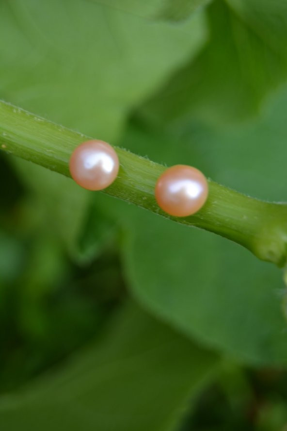 STONEAGE Pembe İnci Doğal Taş Bayan Küpe - 2