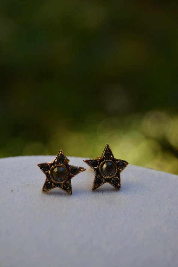 STONEAGE Yıldız Bayan Küpe ürün görseli