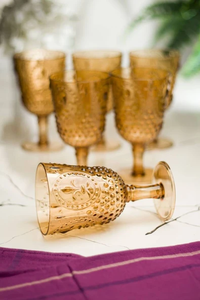 Akrilik Bal 6lı Kadeh & Su Meşrubat Kahve Yanı Bardağı 450 ml ( Cam Değildir )