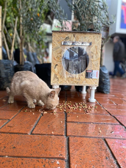 Kedi Kulübesi Kedi Yuvası Kedi Evi 30x33x36cm Iç Ve Dış Mekan Su Geçirmez Isı Yalıtımlı Özel Tasarım - 3