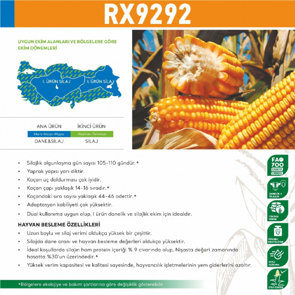 May RX9292 Mısır Tohumu 50000 Tohum - 5