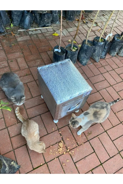 Kedi yuvası Kedi evi ISI VE SU yalıtımlı % 100 KORUNAKLI özel üretim 37X33X31 CM(AYAK HARİÇ ÖLCÜDÜR) - 6