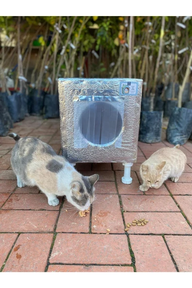 Kedi yuvası Kedi evi ISI VE SU yalıtımlı % 100 KORUNAKLI özel üretim 37X33X31 CM(AYAK HARİÇ ÖLCÜDÜR) - 5