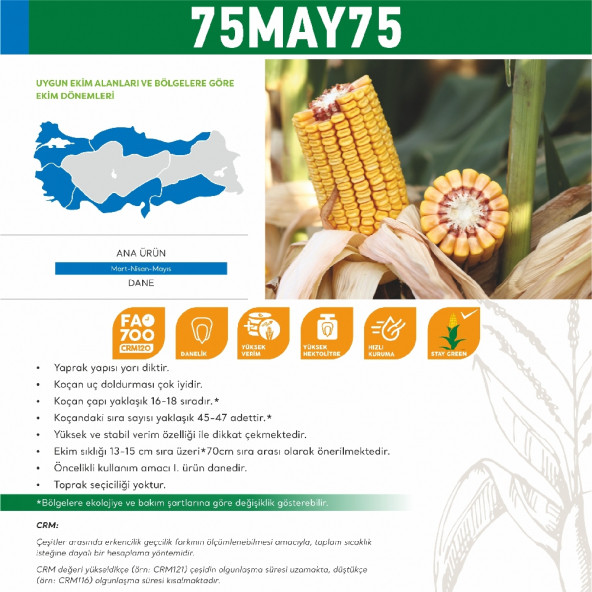 May 75MAY75 Mısır Tohumu 50000 Tohum - 5
