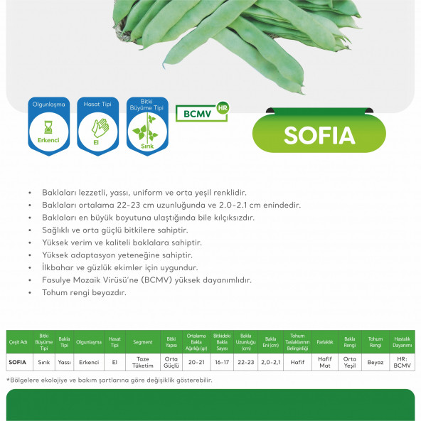 May Sofia Sırık Fasülye Tohumu 2 kg - 4
