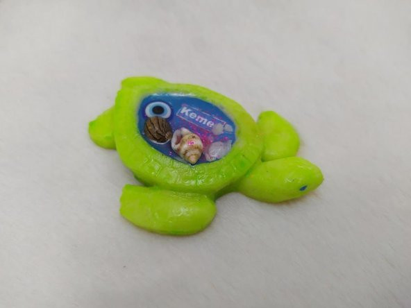 Kaplumbağa Görünümlü Magnet Yeşil Mıknatıslı Deniz Kabuklu Kemer Yazılı Buzdolabı Süsü