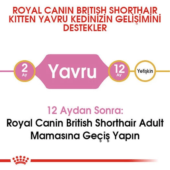 Royal Canın British Shorthair Yavru Kedi Maması 2kg - 4