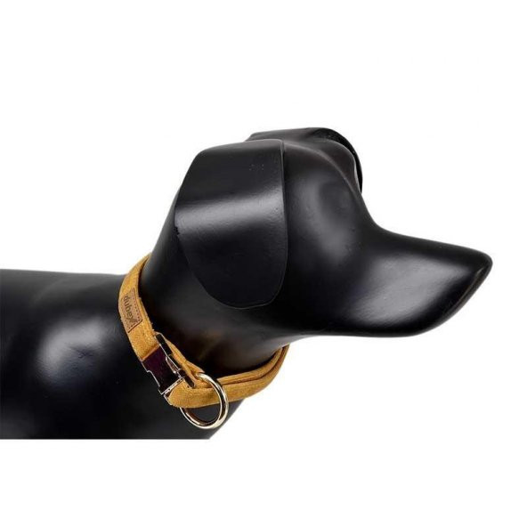 Dubex G-Dog Köpek Boyun Tasması Sarı XS-S
