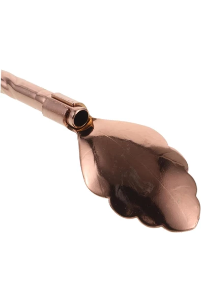 6'lı Bronz Pipetli Latte Kaşığı Kokteyl Kaşığı Ve Temizleme Fırçası, 22 Cm Yaprak Model - Resim 3