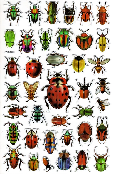 Sticker Kabartmalı Yaldızlı Stiker Çıkartma Etiket (DE610)-16x25 cm- Böcek Türleri - 3