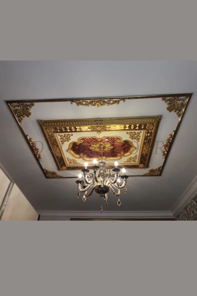 Dekoratif Boyanabilir Polimer Mobilya, Duvar ve Tavan Motifi - 2