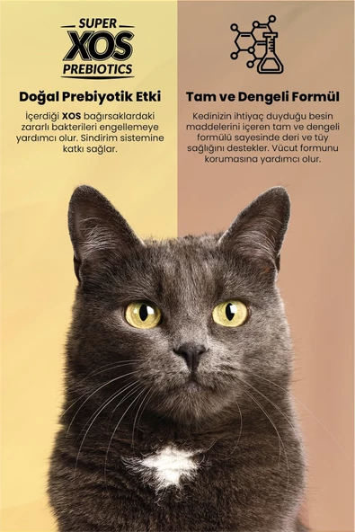 Reflex Plus Somonlu Kısırlaştırılmış Kedi Maması 1,5kg 500gr - 4