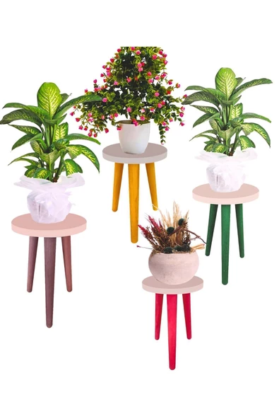 LİVA AHŞAP Saksı Taburesi 4 Adet ( sarı pembe yeşil ve kahve renk) - 2