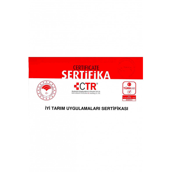 Naturo Market Kıracaklı Kabuklu Ağaç Altı Kurumuş 1 Kg Doğal Tuzsuz Naturel Çiğ Antep Fıstığı - 1