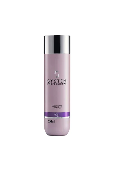 Professional Color Save Renk Koruyucu Saç Şampuanı 250ml 4064666000756