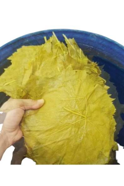ART GRAFİK Yaprak Manisa Alaşehir Sultaniye Salamura 5 Lt - 2