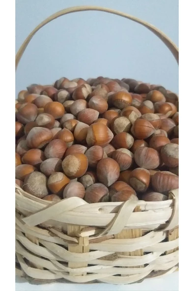 güvenpro FINDIK KABUKLU FINDIK 1 KG - 2