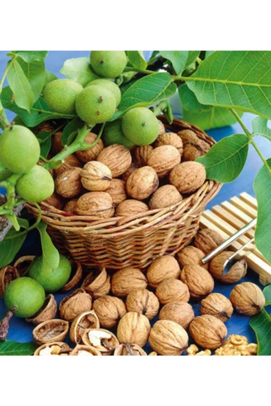 Naturel Home Ceviz (kabuklu)