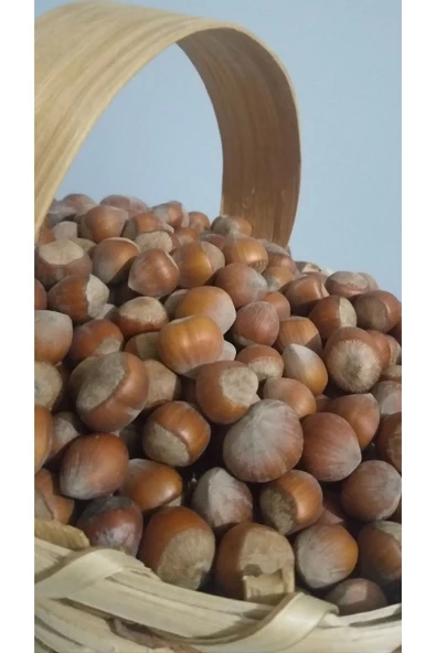 güvenpro FINDIK KABUKLU FINDIK 1 KG - 4
