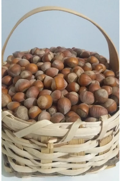 güvenpro FINDIK KABUKLU FINDIK 1 KG - 3