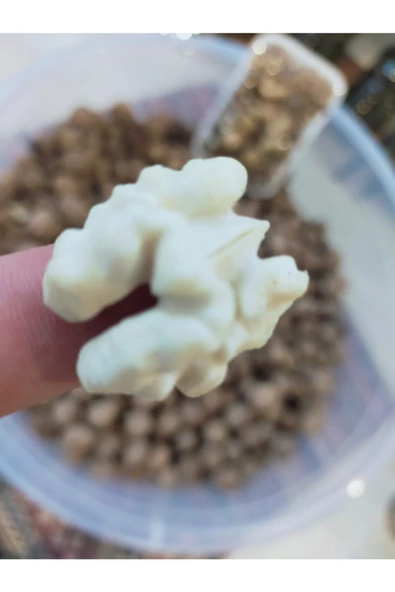 Elisanın köy evi Kabuklu Ceviz 1kg - 2