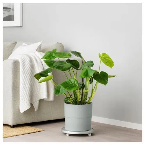 SUMUHOME NYPON DEKORATİF PLASTİK SAKSI GRİ 24 CM - 3
