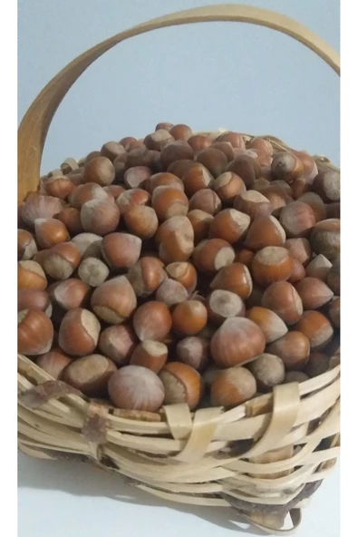 güvenpro FINDIK KABUKLU FINDIK 1 KG - 5