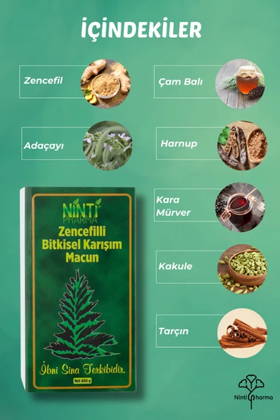Zencefilli Ballı Bitkisel Karışımlı Macun, Ibni Sina Terkibi Zengin Içerikli Macun 460gr - 2