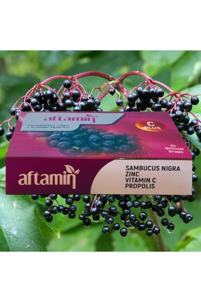Alftamın 24'lü Bitkisel Drops Pastil | Karamürver Çinko Propolis Beta Glukan C Vitamini - 3
