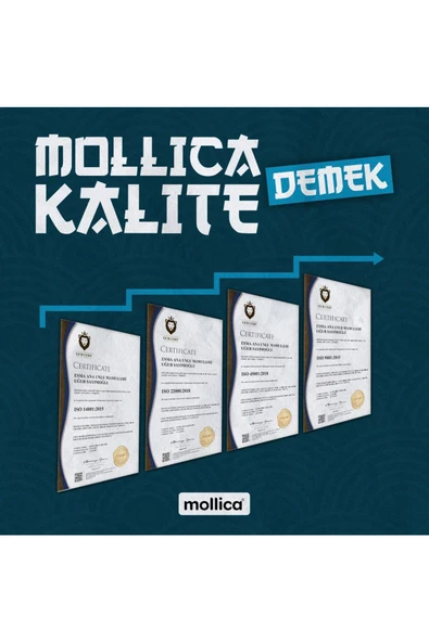 mollica MOLLİCA PANKO EKMEK KIRINTISI 1 KG - 4