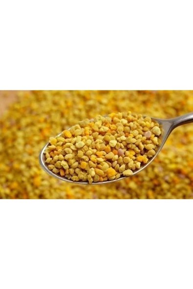 Lokman Polen 100 Gr