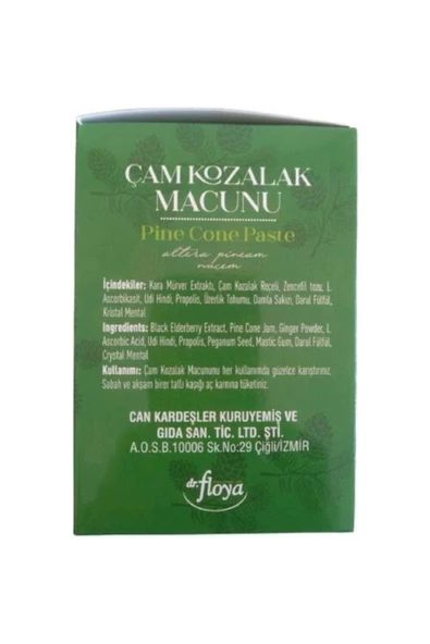 Dr. Floya Natural Doğal Çam Kozalak Macunu 300 Ml (udi Hindi Pine Cone Paste) - 5