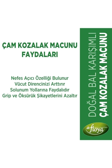 Dr. Floya Natural Doğal Çam Kozalak Macunu 300 Ml (udi Hindi Pine Cone Paste) - 2