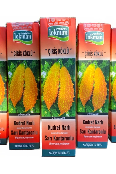 Ender Lokman Çiriş Köklü Kudret Narlı Karışık Bitki Suyu 500 ml