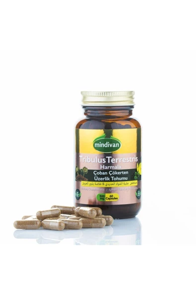 Tribulus Terrestris Çoban Çökerten Üzerlik Tohumu Ekstresi - 2