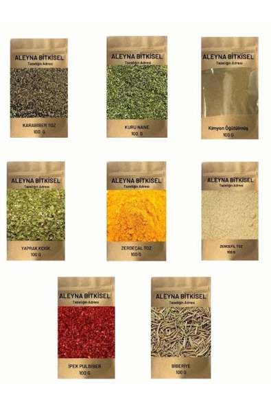 Aleyna Bitkisel Maxi Baharat Seti 100 gr 8li