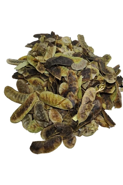 leka baharat Açlık Otu Açlık Otu 1000 G