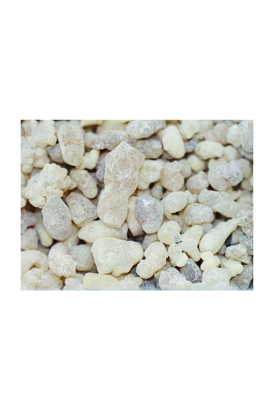 AktarDünyası Sandaloz sakızı 100 gr