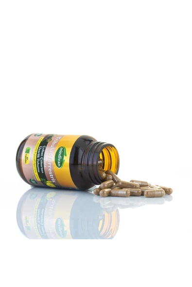 Tribulus Terrestris Çoban Çökerten Üzerlik Tohumu Ekstresi - 3