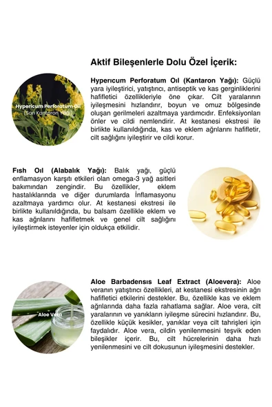 At Kestanesi Kremi Aynı Sefa Kantaron Balsamı 500ml - 6