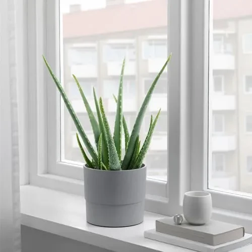 SUMUHOME NYPON DEKORATİF PLASTİK SAKSI GRİ 15 CM - 4