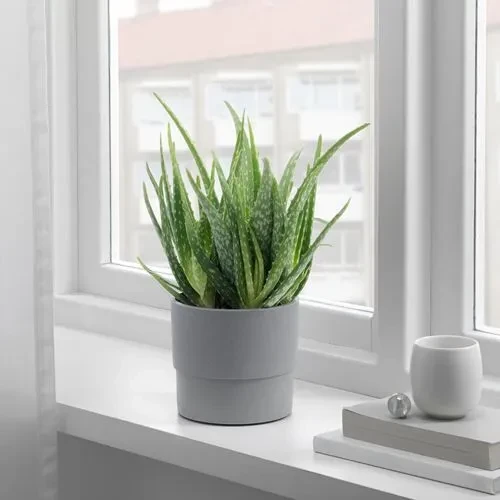 SUMUHOME NYPON DEKORATİF PLASTİK SAKSI GRİ 12 CM - 3