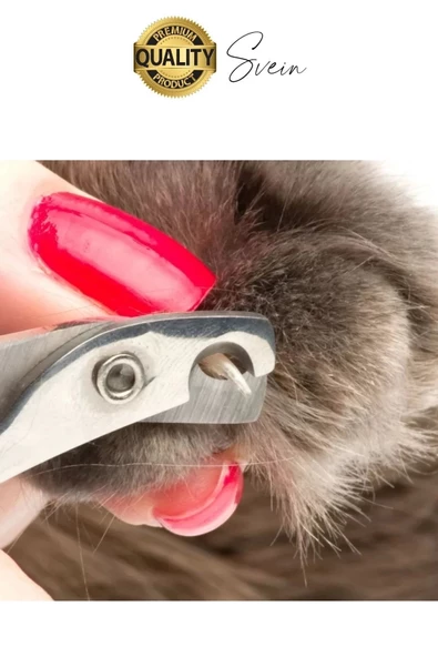 Premium Paslanmaz Kedi Köpek Tırnak Makası Küçük Boy Evcil Hayvan Bakım Kaymaz Saplı Düzeltici Pençe - 3