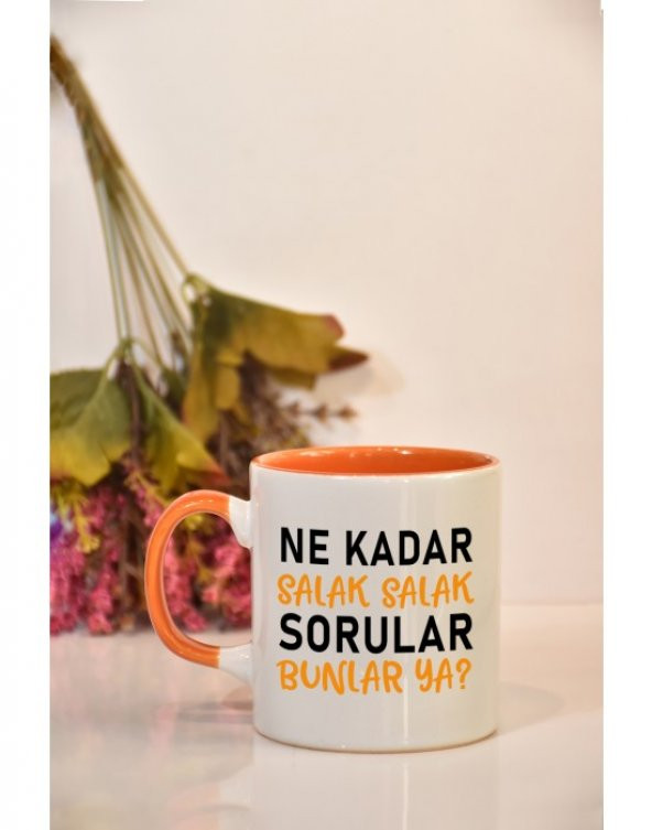 Ne Kadar Salak Salak Sorular Bunlar Ya Baskılı Kupa Bardak - 6