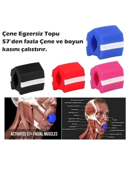 Çene Egzersiz Topu Çene Çizgisi Güçlendirici - Resim 2